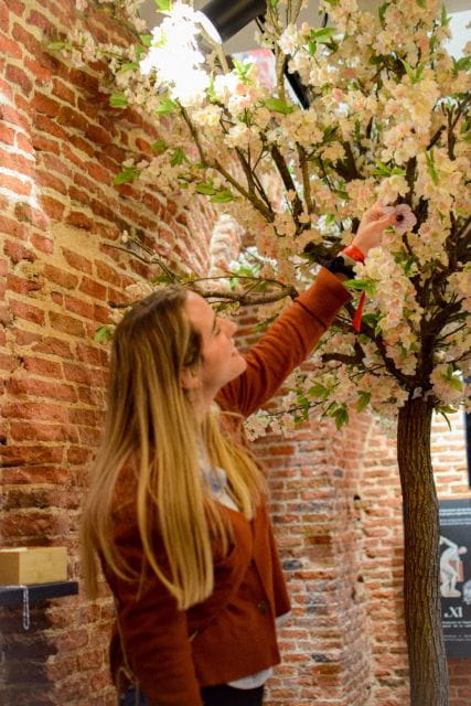 Ticket Entrance to the Madrid Nougat Museum - Practical Details and Logistics