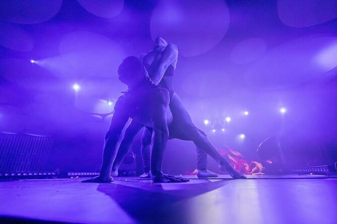 Ticket for Scandal Dinner Show in Santa Cruz de Tenerife - Key Points / Takeaways