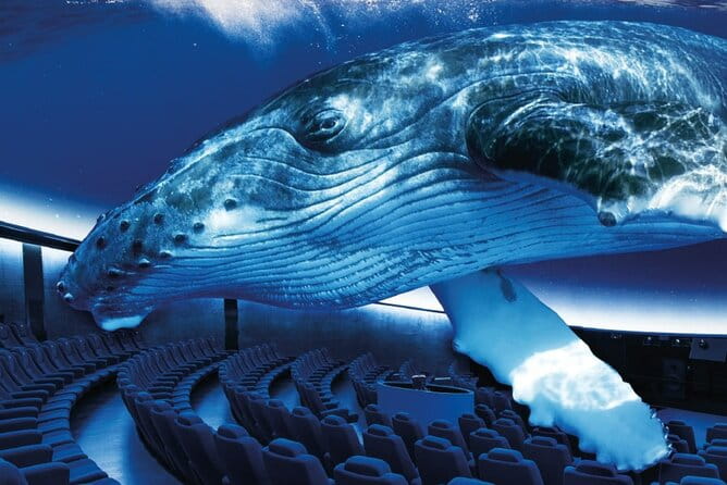 Ticket Palma Aquarium - Key Points: