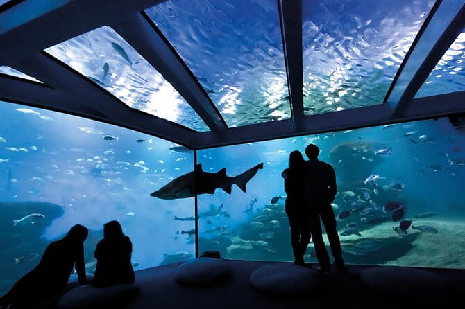Ticket Palma Aquarium - In-Depth Review of What to Expect at Palma Aquarium