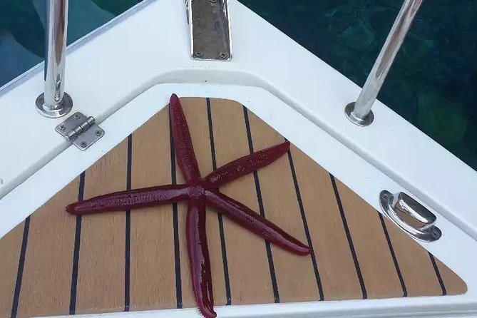 Ticket Tour: Blue Cave, Mamula Island, Submarine Tunnel, Lady of the Rocks (3hr) - Meeting and Pickup