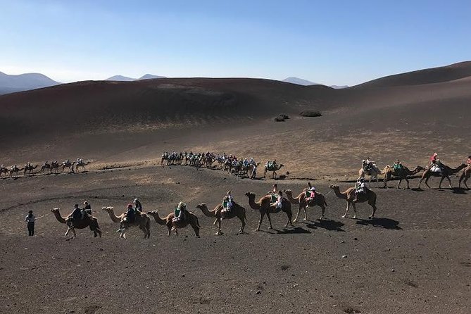 Timanfaya & Lanzarote Volcano Experience - Highlights of the Excursion