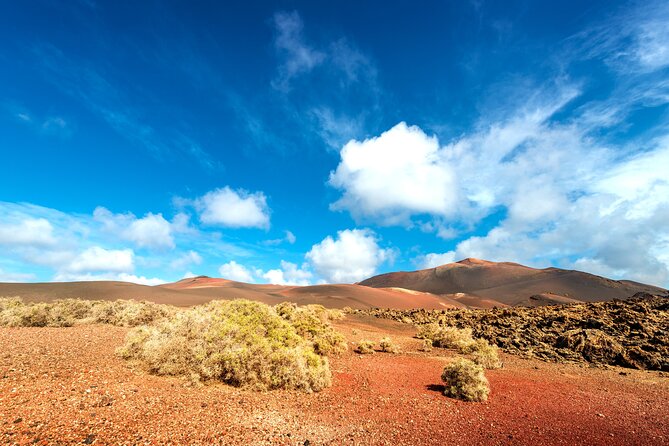 Timanfaya & Lanzarote Volcano Experience - Customer Reviews