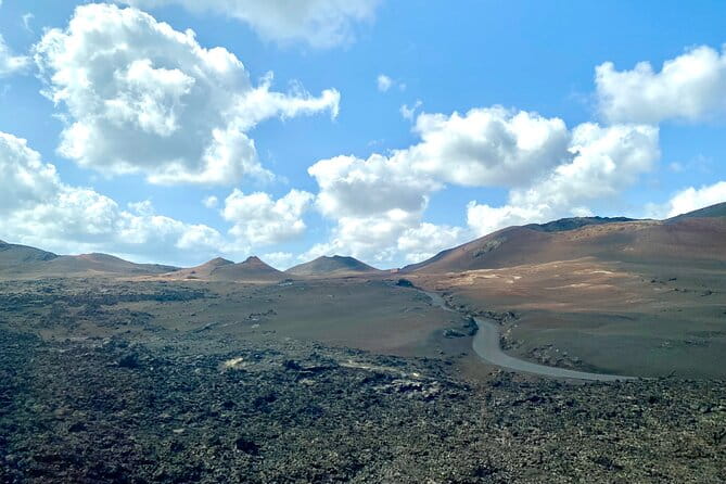 Timanfaya National Park Morning Tour - Who Will Love This Tour?