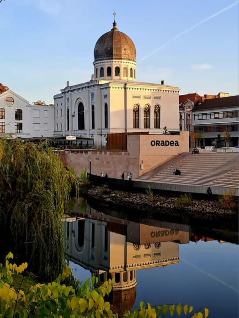 Timisoara: Oradea and Arad Downtown Dream Tour - Discovering Western Romania: The Timisoara: Oradea and Arad Downtown Dream Tour