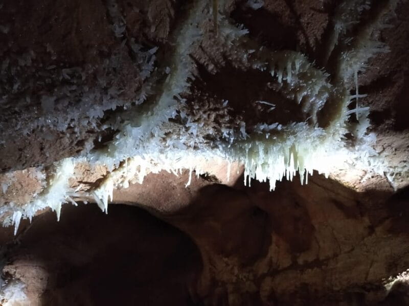 Timisoara: Oradea City Tour and Trip to Apuseni Caves - FAQ