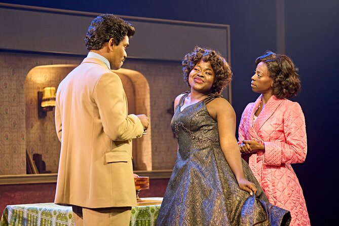 Tina Turner Theater Show Tickets - Accessibility and Policies