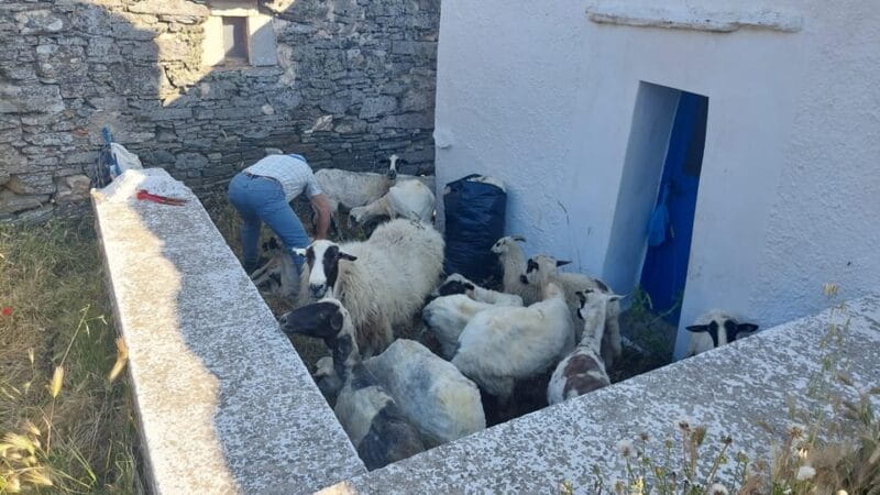 Tinos: 3-Day Hiking Adventure - Logistics, Price, and What You Get