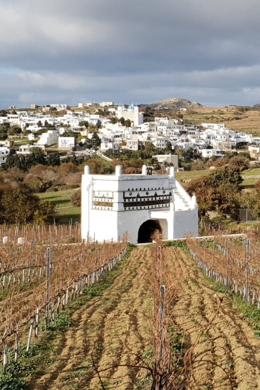 Tinos: Winery Tour and Wine Tasting Paired with Snacks - Entering the Heart of Tinos Wine Life