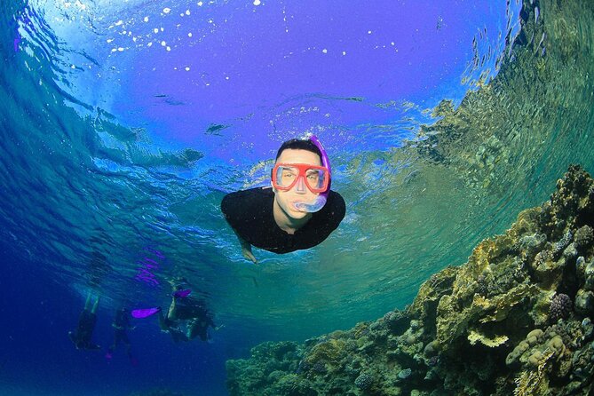 Tiran Island Snorkeling Experience by Yacht Sharm El Sheikh - Snorkeling Equipment and Stops