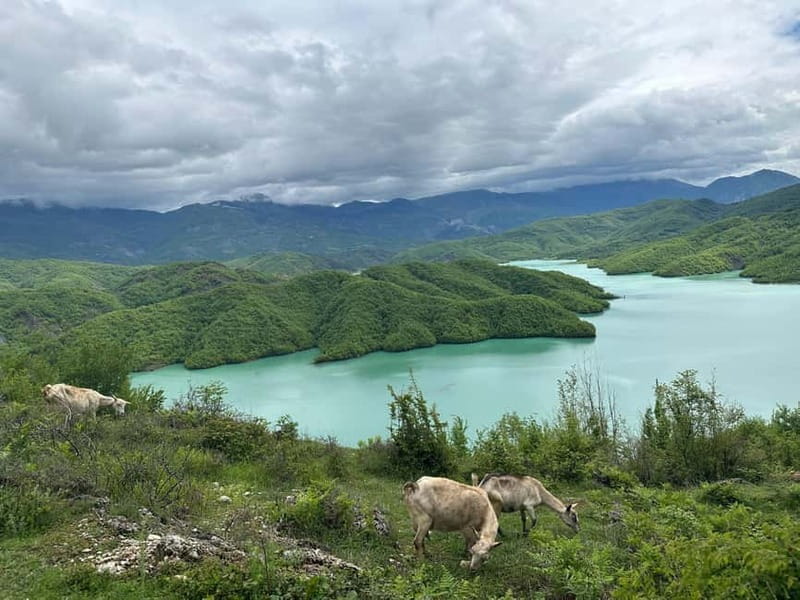 Tirana: Bovilla Lake & Gamti Mountain with SUV, No-Hiking - Who Will Love This Tour?