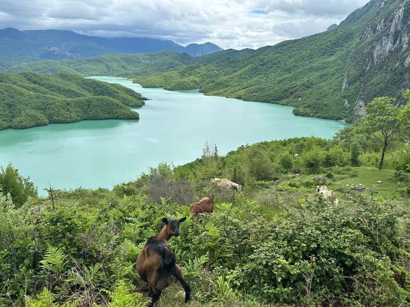 Tirana: Bovilla Lake & Gamti Mountain with SUV, No-Hiking - Final Thoughts