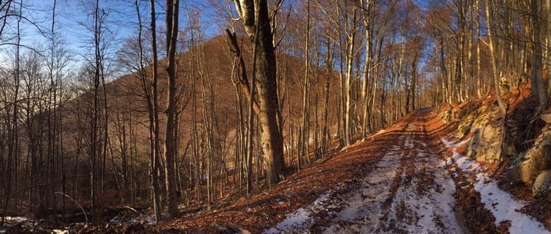 Tirana: Dajti Mountain Half-Day Trip with Cable Car Ticket - Enjoying the Mountain Atmosphere and Local Flavors