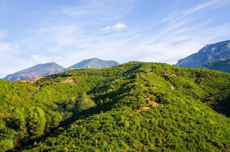 Tirana: Dajti Mountain Half-Day Trip with Cable Car Ticket - Price and Value: Is It Worth It?