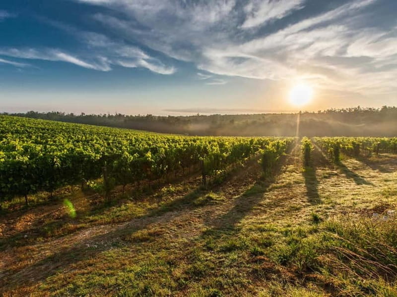 Tirana: Petrela Castle, ATV, Zipline, and Wine Tasting Tour - Who Will Love This Tour?