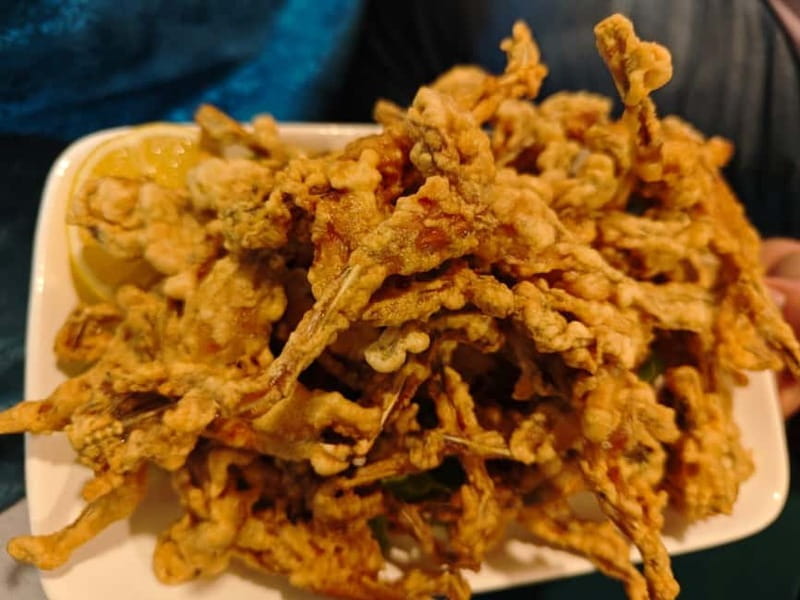 Tirana to Bylis & Apollonia: Private day trip - Key Points / Takeaways