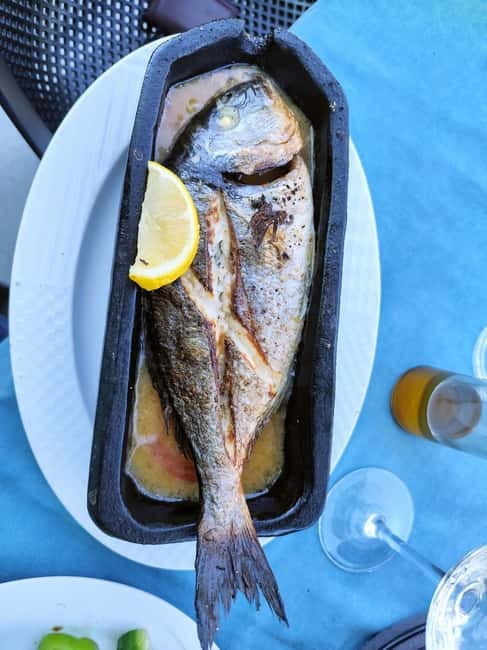 Tirana to Shkoder by Eden: Private day trip - Key points / Takeaways