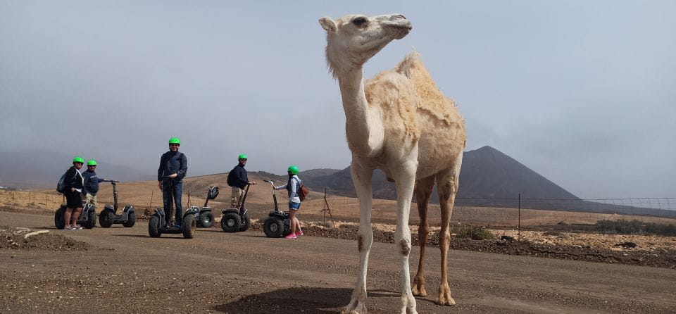 Tiscamanita: Segway Tour, Aloe Vera Farm & Mills Museum - Things To Know