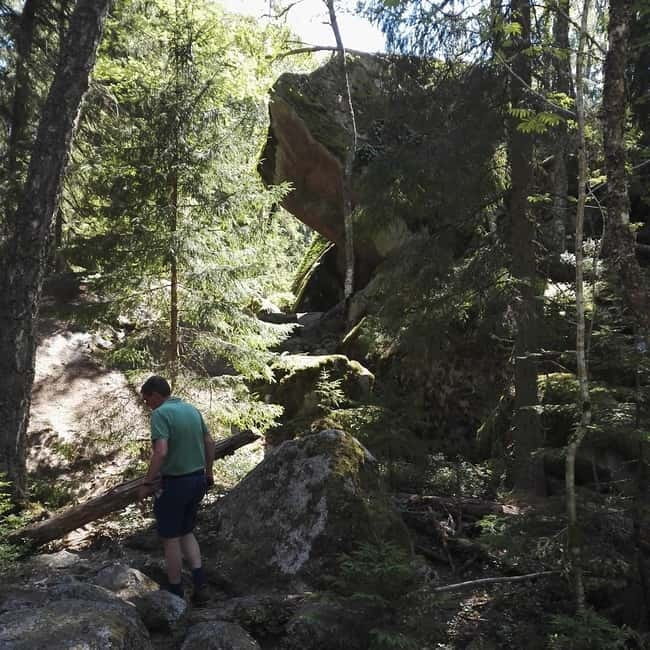 Tiveden National park: Summer guided walk around Stenkälla - Exploring Tiveden: A Guide to the Experience