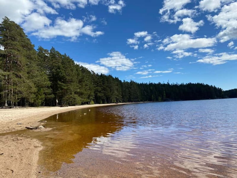 Tiveden National park: Summer guided walk around Stenkälla - Who Will Love This Tour?