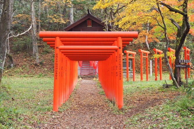 Togakushi Shrine Hiking Trails Tour With Soba in Nagano - Optional Visits: Zenkoji Temple and Togakure Ninpo Museum