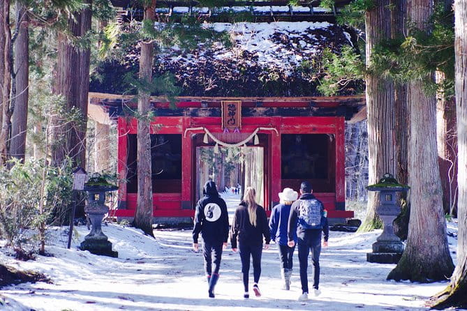 Togakushi Shrine Hiking Trails Tour With Soba in Nagano - Important Information for Hikers