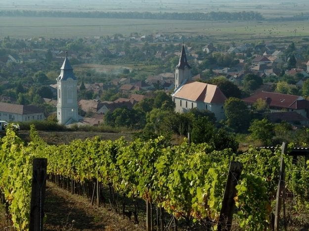 Tokaj Private Day Tour from Budapest - Exploring the Heart of Tokaj: A Well-Rounded Cultural and Wine Journey