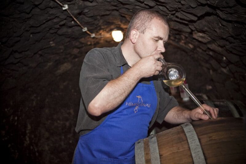 Tokaj: Vineyard Tour & Tasting - Key Points / Takeaways