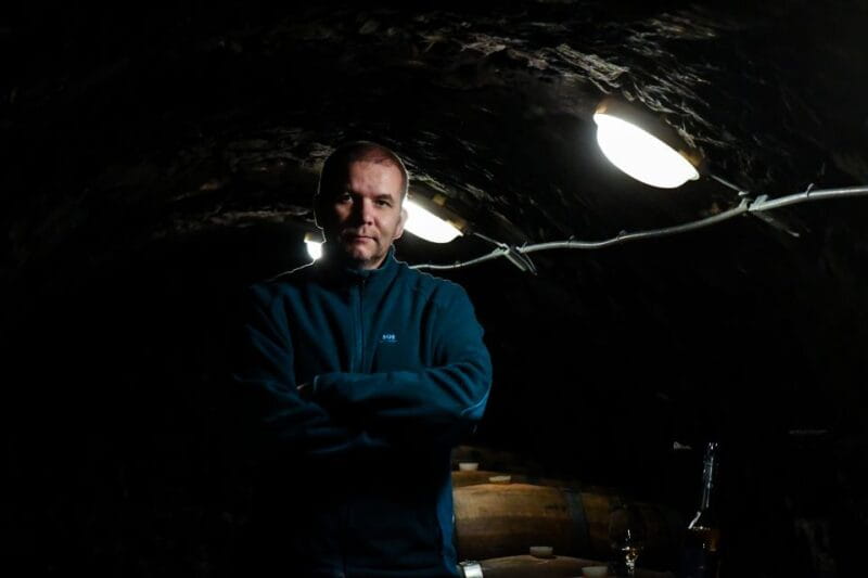 Tokaj: Vineyard Tour & Tasting - Price and Logistics