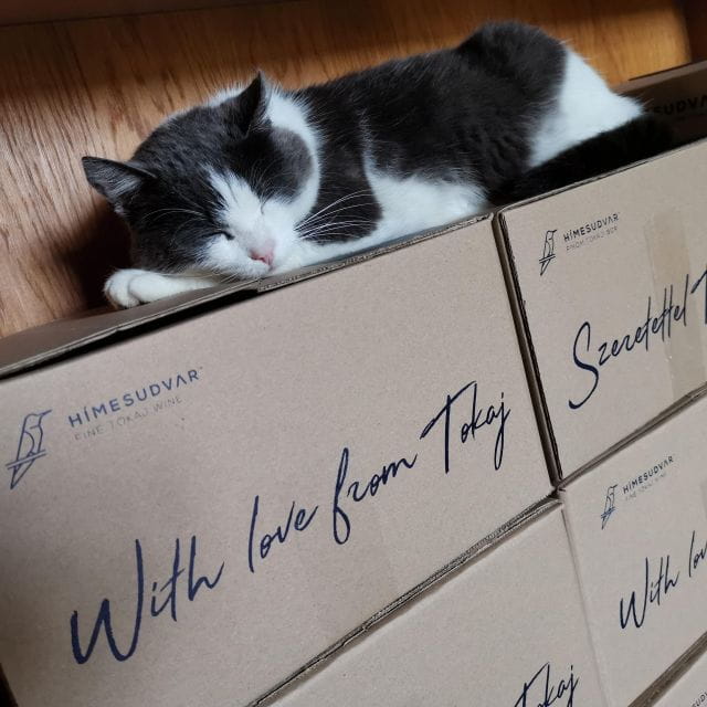 Tokaj: Vineyard Tour & Tasting - Final Thoughts: Is This Experience Right for You?