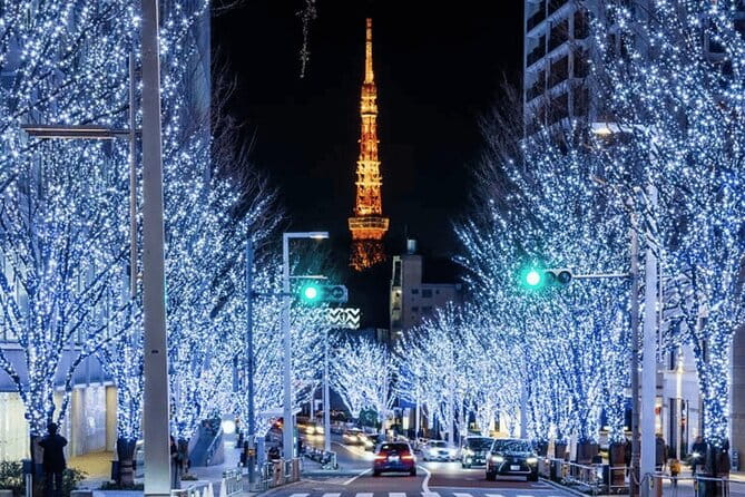 Tokyo 10 Hour Customizable Private Tour - Inclusions