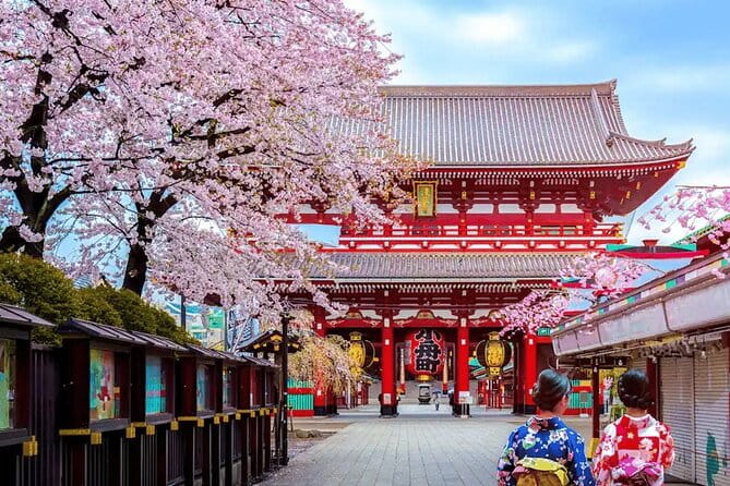 Tokyo 10 Hour Customizable Private Tour - Exploring Tokyos Highlights