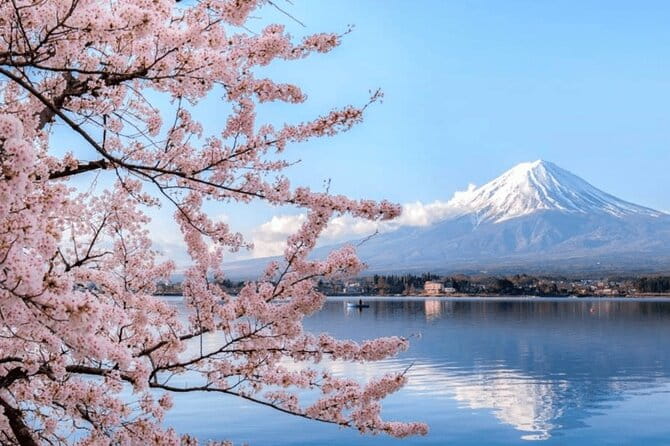 Tokyo 10 Hour Customizable Private Tour - Planning Your Personalized Itinerary