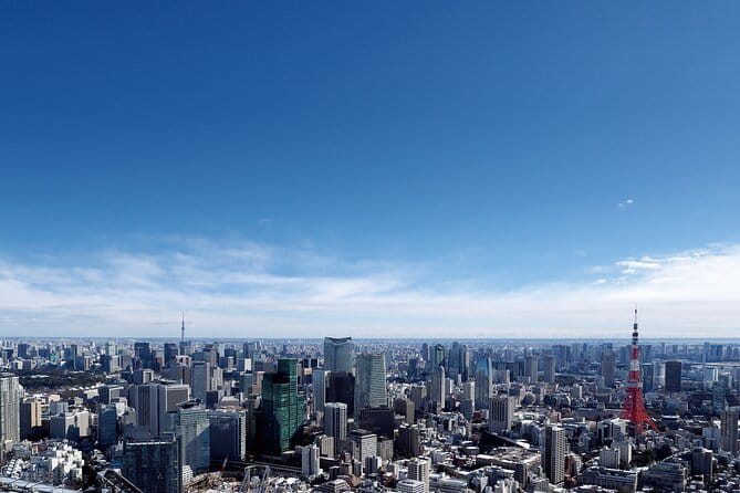 Tokyo 6hr Instagram Highlights Private Tour With Licensed Guide - Customizing Your Tour Itinerary