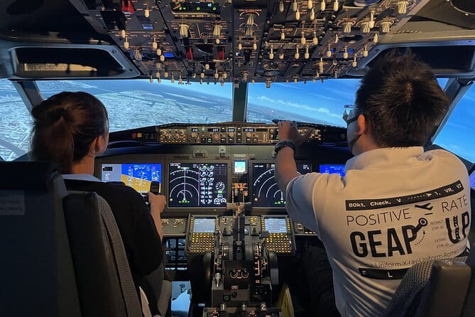Tokyo 6hr Private Guided Tour & Flight Simulator Experience - Key Points