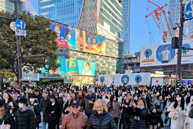 Tokyo 7 Hours Tour Licensed Guide and Vehicle NRT Airport Pick up - Why Choose a Licensed Local Guide?