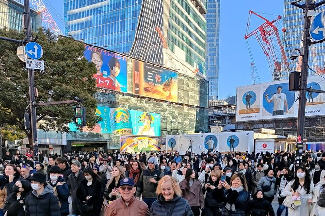 Tokyo 7hr Tour Licensed Guide & Vehicle: NRT Airport Drop Off - Additional Considerations for Travelers