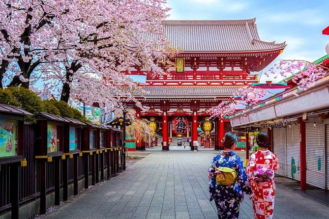 Tokyo Airport Transfers: Tokyo City to Tokyo-Narita Airport NRT in Luxury Van - Vehicle and Safety Features