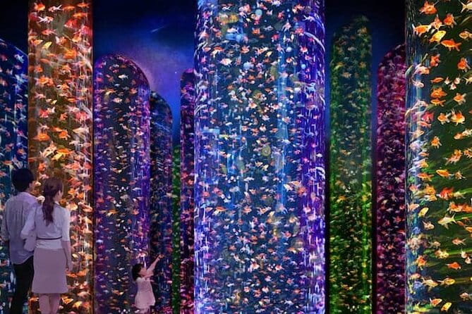 Tokyo Art Aquarium Museum E-Ticket With Optional Tokyo Metro Pass - Policies and Requirements