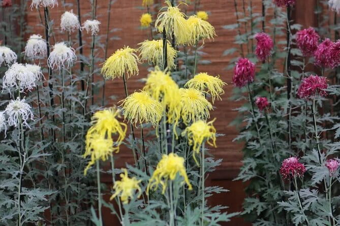 Tokyo Autumn Gardens, Private Walking Tour by Trains, Subways - Inclusions