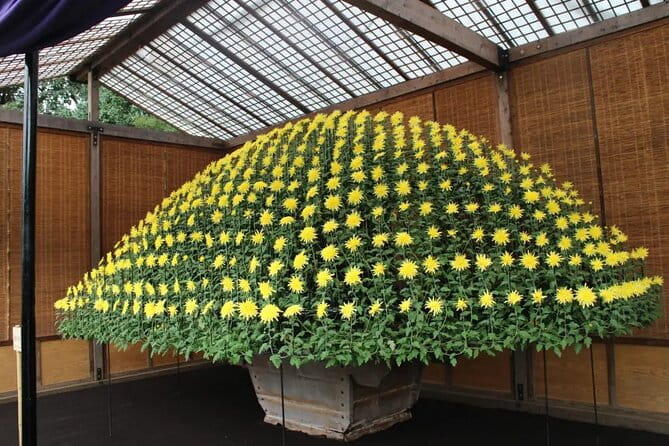 Tokyo Autumn Gardens, Private Walking Tour by Trains, Subways - Tour Experience