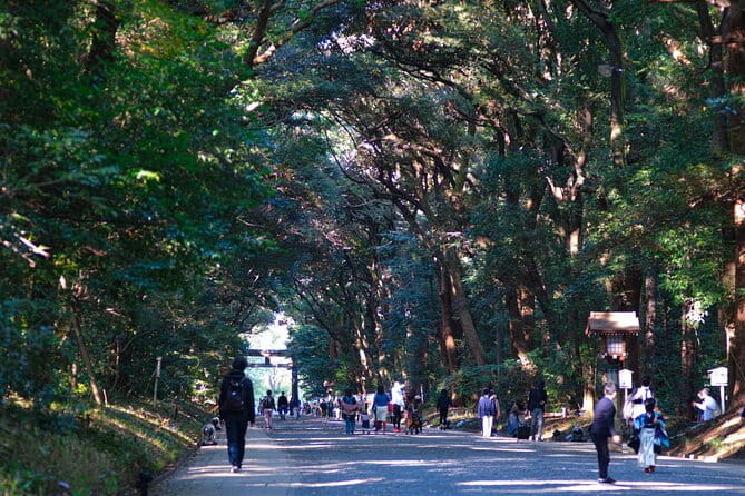 Tokyo Best West Part Tour by Public Transportation - Accessibility