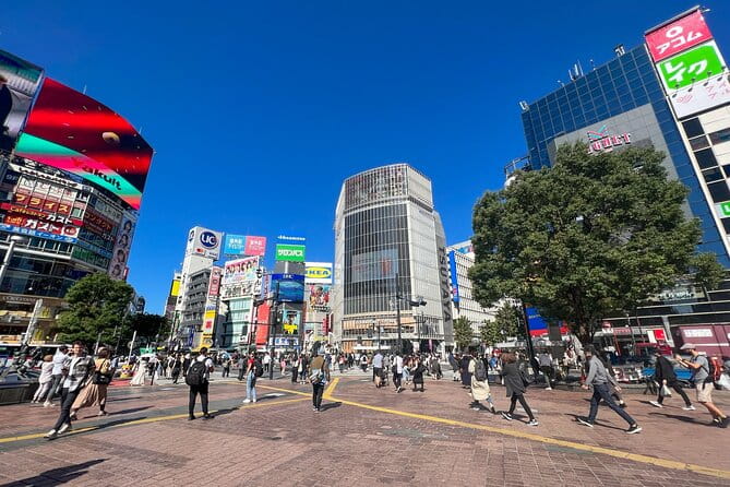 Tokyo Best West Part Tour by Public Transportation - Important Information