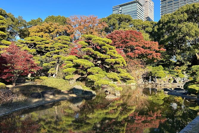 Tokyo Castle & Imperial Palace , Historical Walking Tour - Tips for Participants