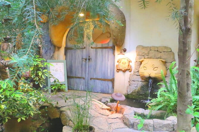 Tokyo Cat Cafe in Kichijoji - Key Points