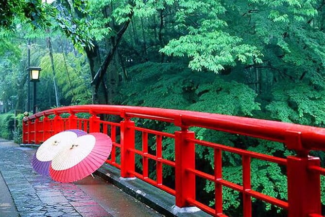 Tokyo Cherry Blossom, Hot Spring, and Strawberry Picking Tour - Accessibility and Participation