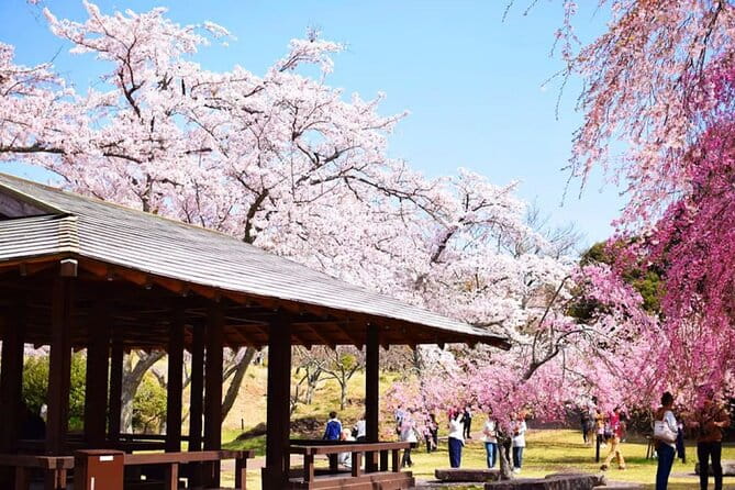 Tokyo Cherry Blossom, Hot Spring, and Strawberry Picking Tour - Hot Spring Experience