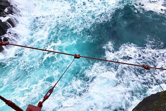 Tokyo Cherry Blossom, Hot Spring, and Strawberry Picking Tour - Additional Considerations