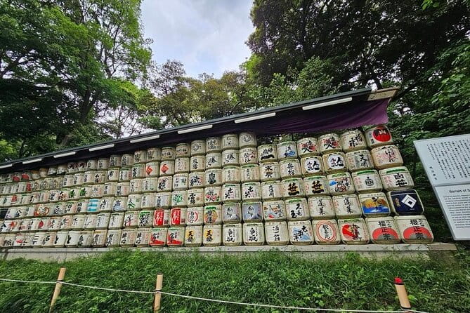 Tokyo Cherry Blossom Private One Day Tour - Tour Overview