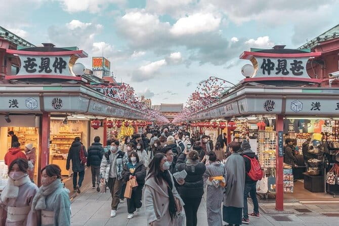 Tokyo Cherry Blossom Private One Day Tour - Inclusions and Costs